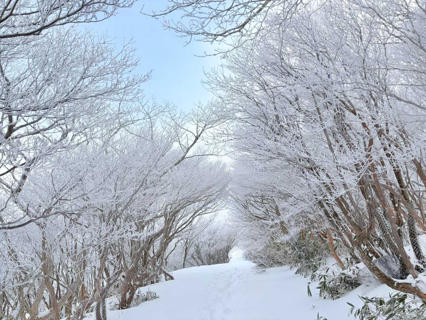  御在所ロープウェイ 山上公園駅-御在所岳 往復コースの写真