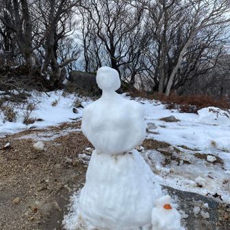 登山していた子供連れのお母さんが
上手に作っていました👏👏ウマ