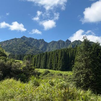 根子岳は、阿蘇五岳の1つで最も古い時代の火山。
名前の由来は、頂の形が猫の耳やギザギザに見えることから。
最高点の天狗岩と西峰へは崩壊のため通行禁止のため、登山対象は天狗岩東方の東峰（標高1,408m）となる。天狗のコル👺カッコイイ！