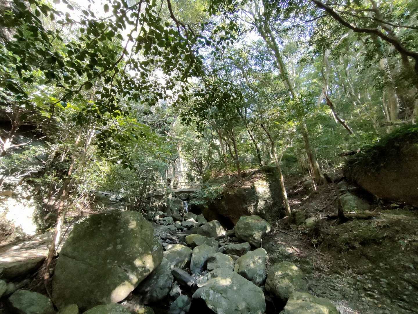 同僚を癒やしてくれてありがとう黒髪山。また来ます。