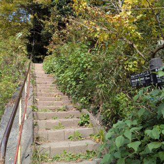 大仏を出て、10分程バス通りを進んだ。この階段を上り大仏ハイキングコースへ