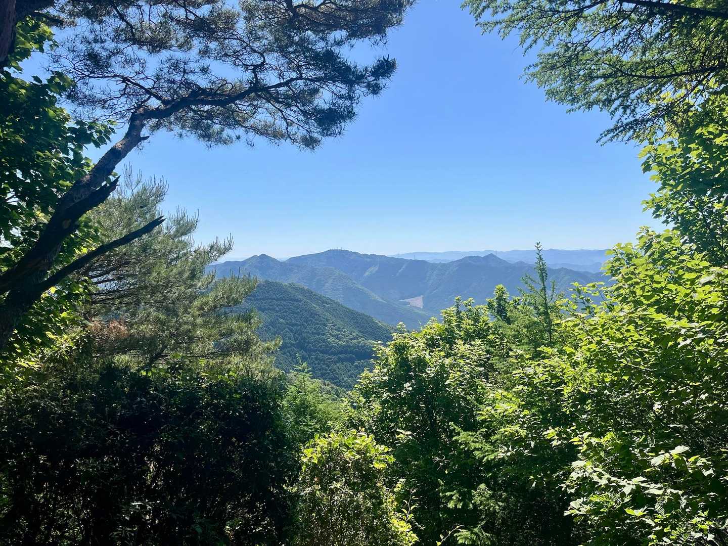 市原峠-千ヶ峰 往復コースの写真