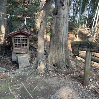 左眼池
八菅山の古名は蛇形山というそうで、これは竜の形に山容が似ているからだそうなんですが、神社を挟んでこちらが左眼ってことかな