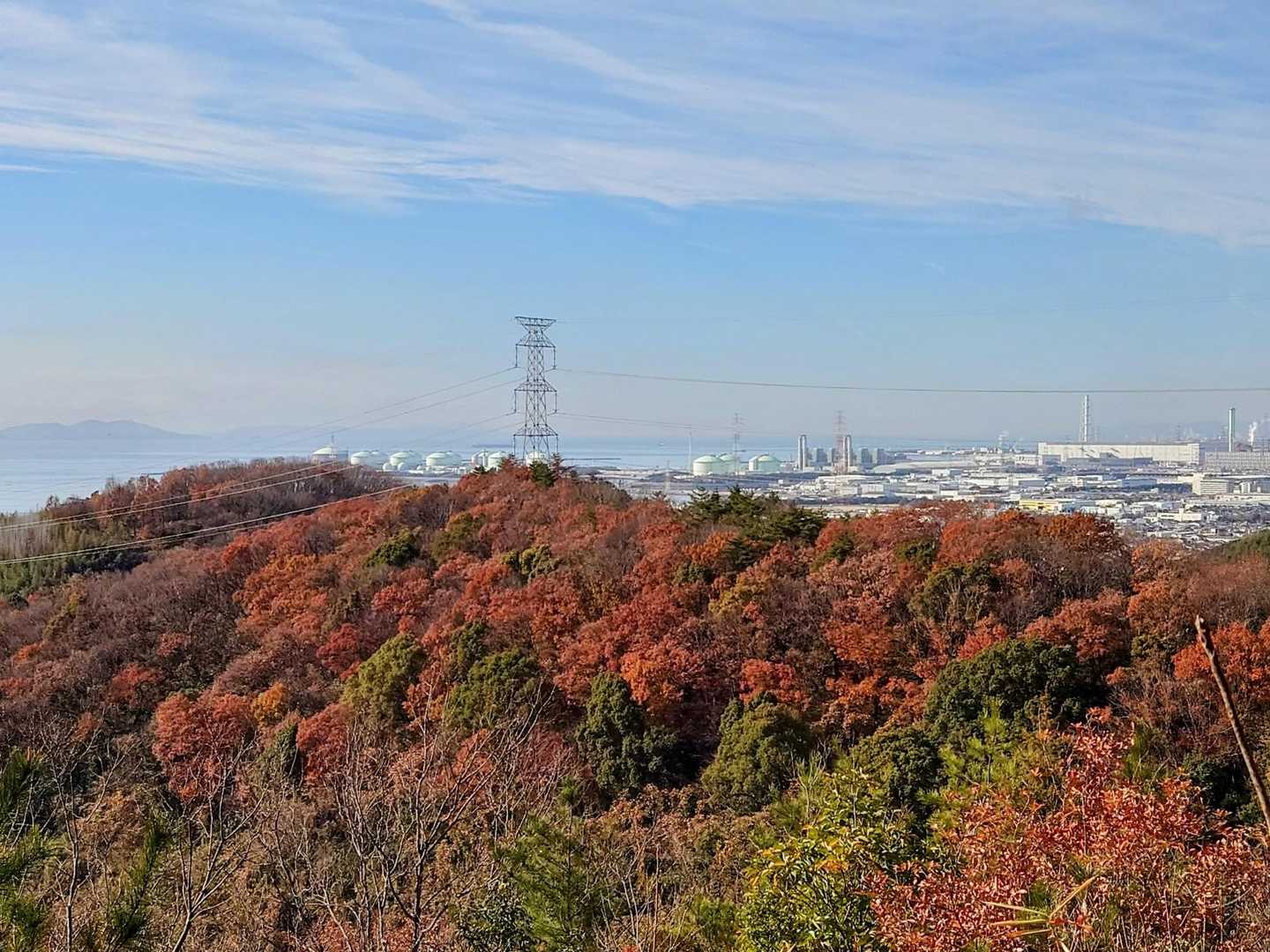 これから行く山