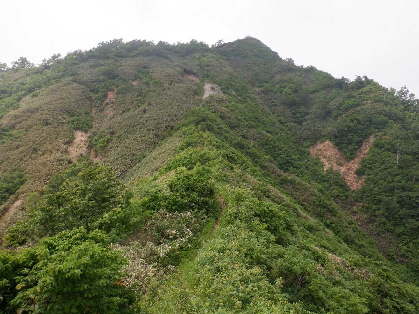 山頂 見えました👀