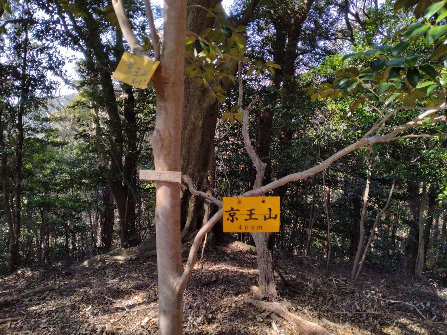 京王山頂到着です⭐
