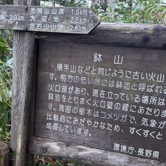 鉢山登頂👍
看板とベンチのみ。