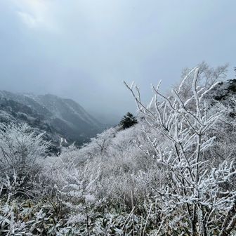 視界が悪くてもこの風景を焼き付けます