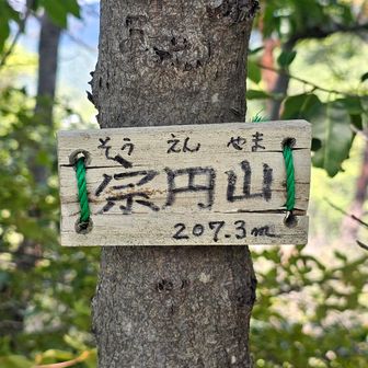14座目