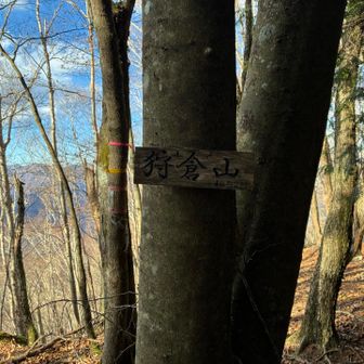 山名版はロープの中です。