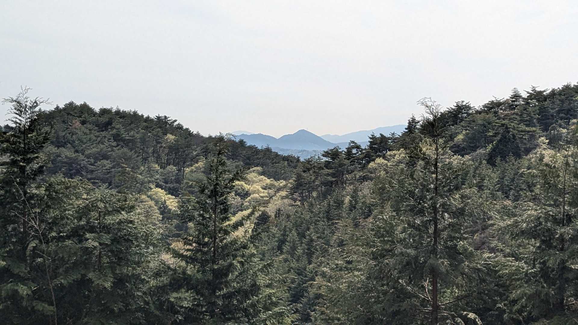 道徳山-緑山 周回コースの写真