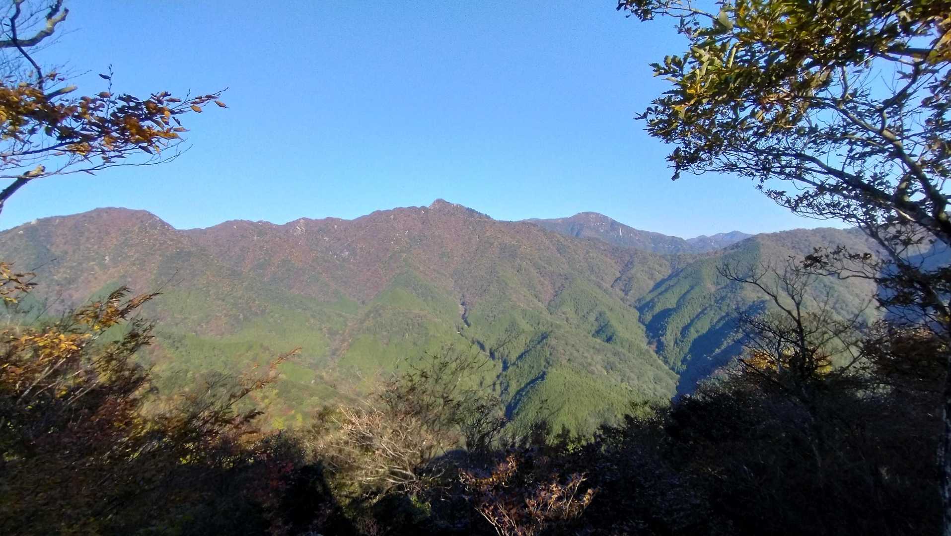 最高👍