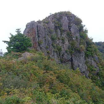 泌尿器科の先生曰く
治療の方法は
ありません
健康になる事が
いちばんの治療だと
