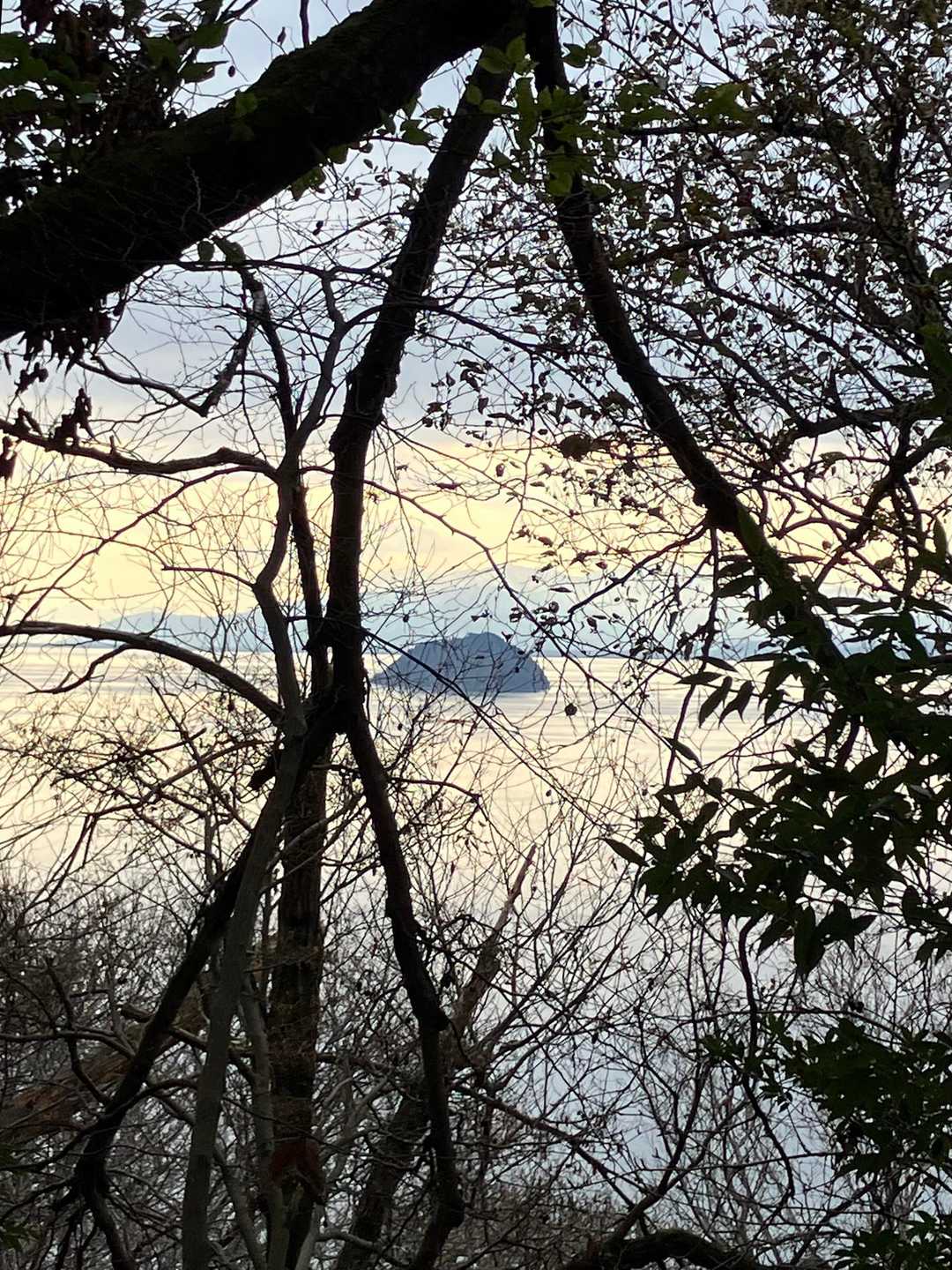 山本山-熊野越-西野峠-西野山-湖北丸山-賤ヶ岳 縦走コースの写真
