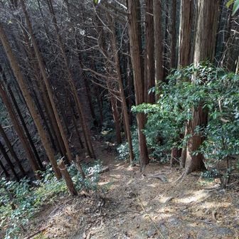 それでは、来た道を戻りますよ
今日一の激登りは、当然今日一の激下りに💦
トラロープありがたし🙏
