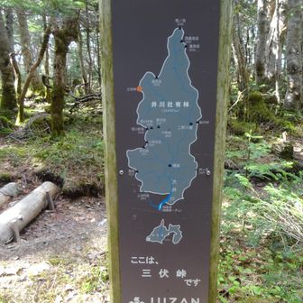 東海フォレスト、恐るべし
静岡県の角をすべて所有していたとは！
