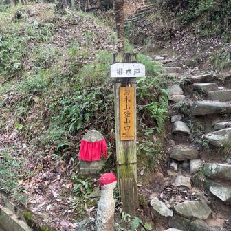 登山口です。ここから5合目までが急登です。