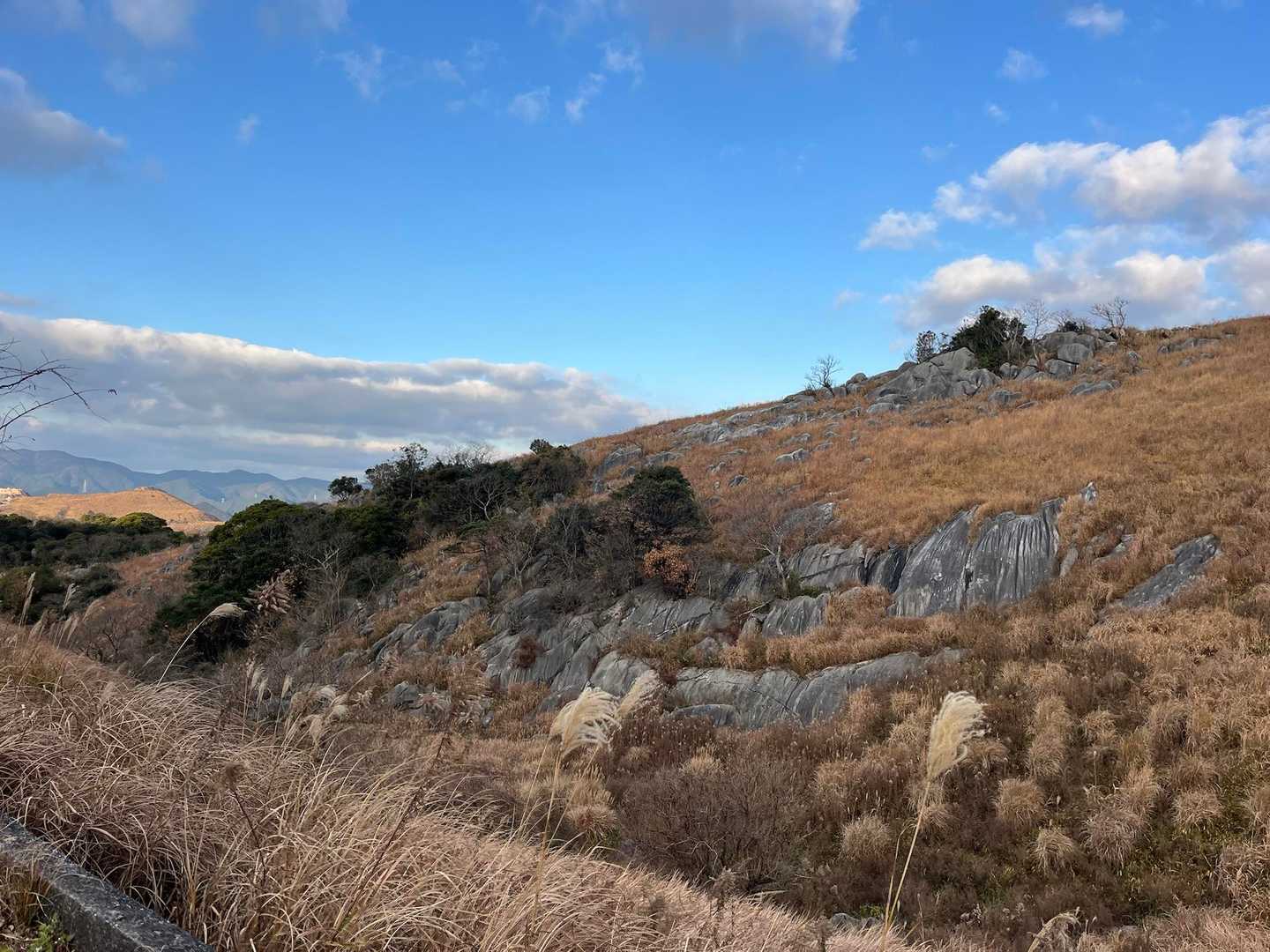 中峠-四方台-貫山 往復コースの写真