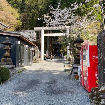 最強のパワーいただきました!