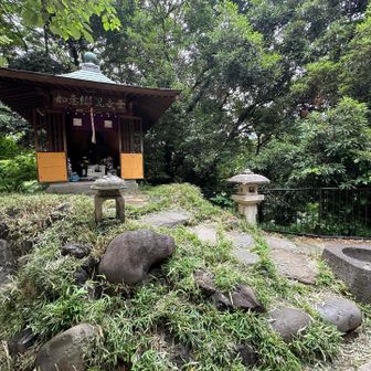 何度か訪れた紅葉山⤴︎YAMAPだとこの下にランドマークがあるのですが私はここが山頂だと思ってます⤴︎