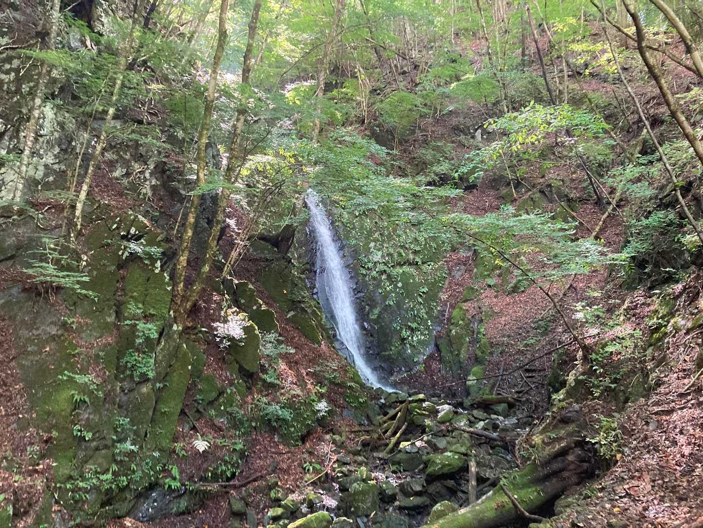 川乗橋バス停-川苔山登山口-川苔山-大根ノ山ノ神-鳩ノ巣駅 縦走コースの写真