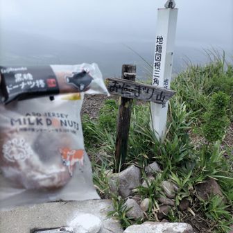 おにぎり山だけど
色々買ったドーナツと黒棒
