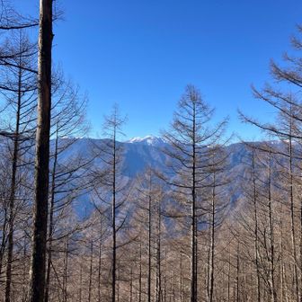 木に少し隠れちゃうけど赤石岳や悪沢岳、白峰三山の南アルプスが見える✨