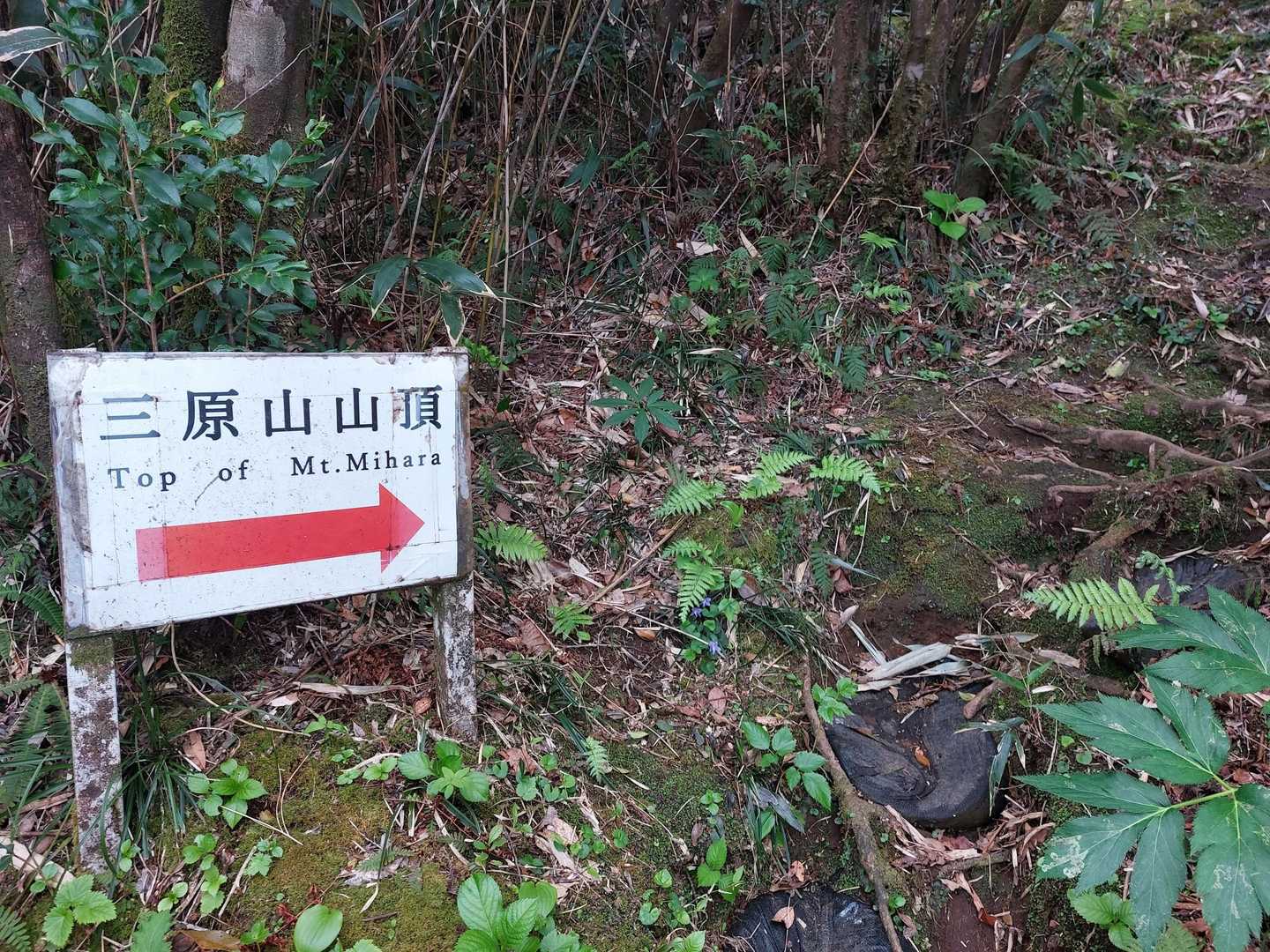 もうすぐ山頂(外輪山)に出ます🎵