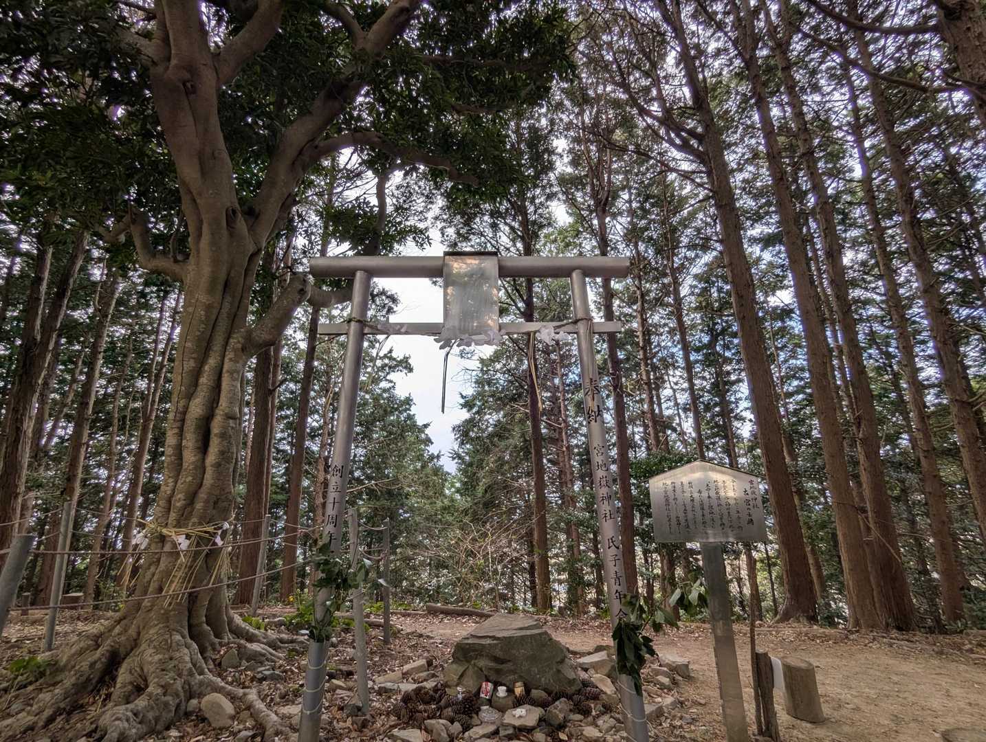 ここでも参っとこう🙏