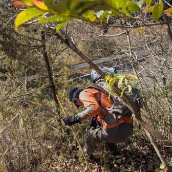 　　余裕ある人は違うね
剪定バサミで
サルトリイバラなどをチョッキン✂️