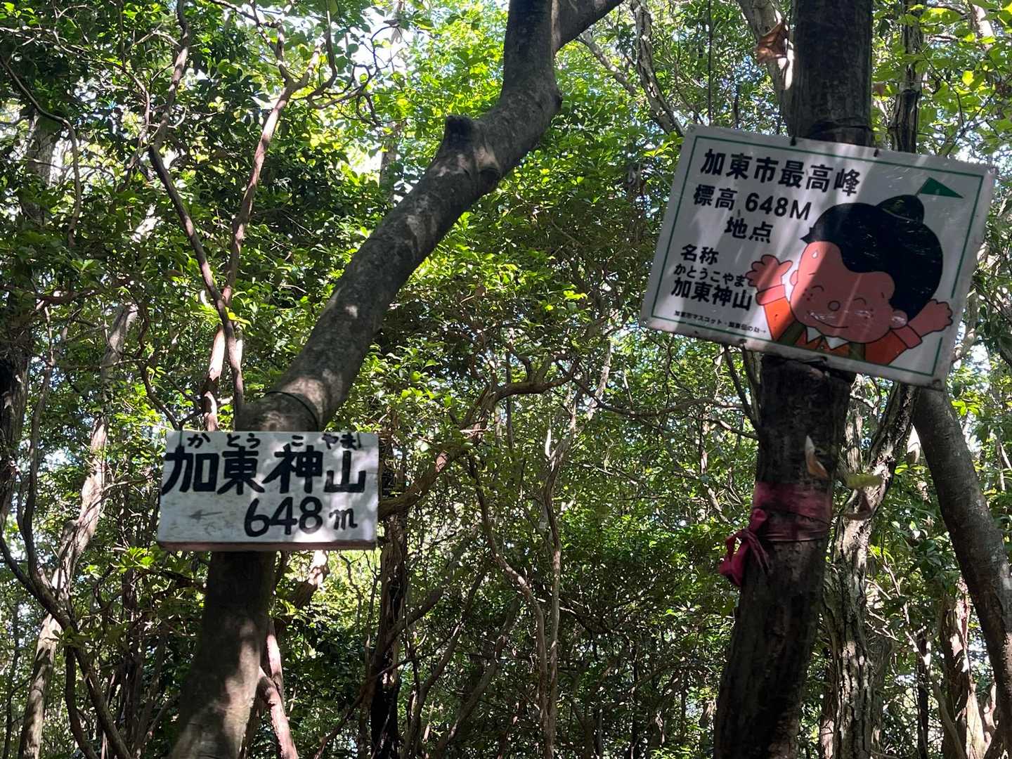加東市最高峰