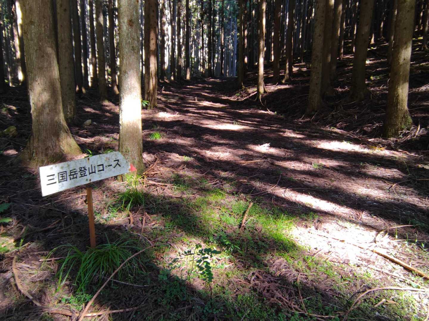最初は林道歩き😅
