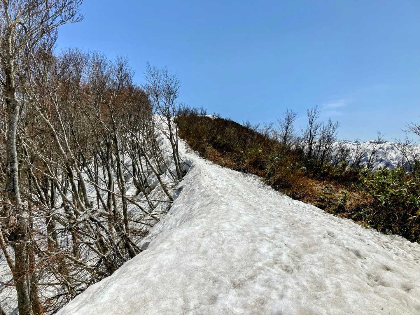 雪の残る痩せ尾根