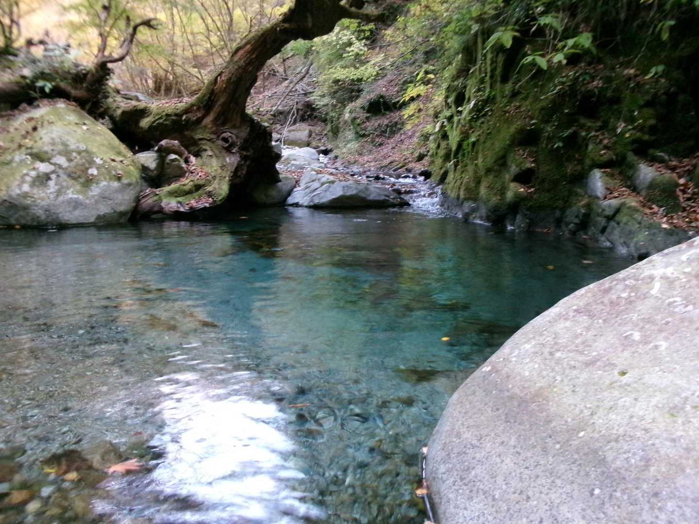西丹沢は水もきれい