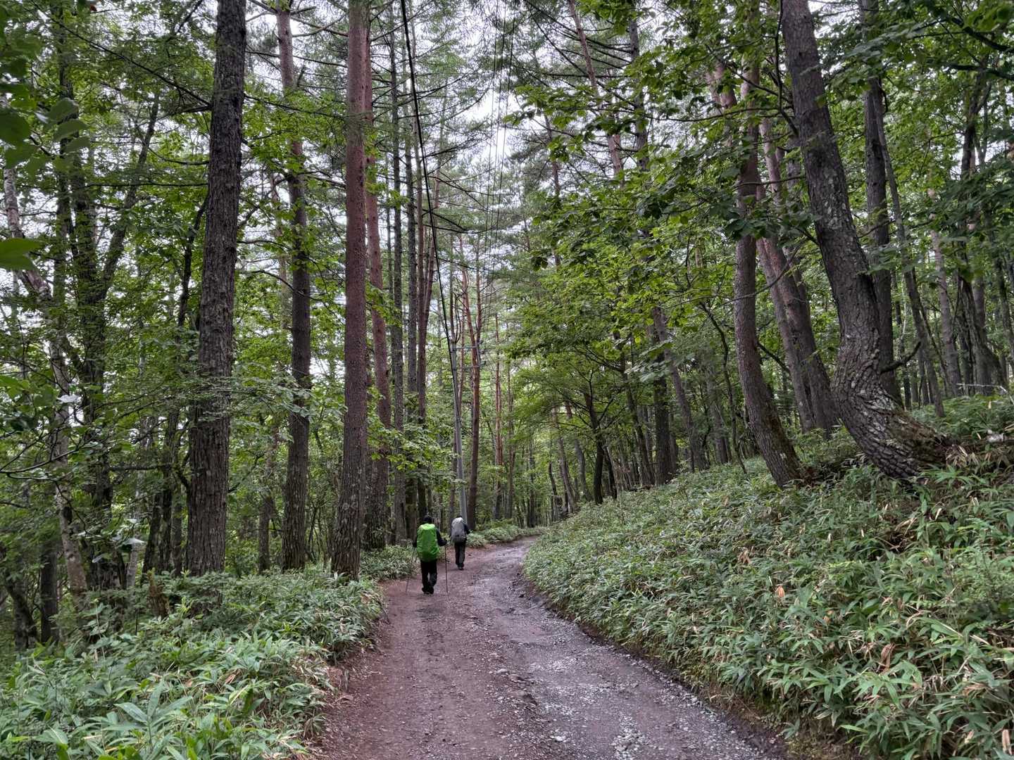 赤岳山荘からの道を歩きながら、前回はこの道車で走ったんだなーと
二度と走りません
途中に車のアンダーカバーが落ちてました