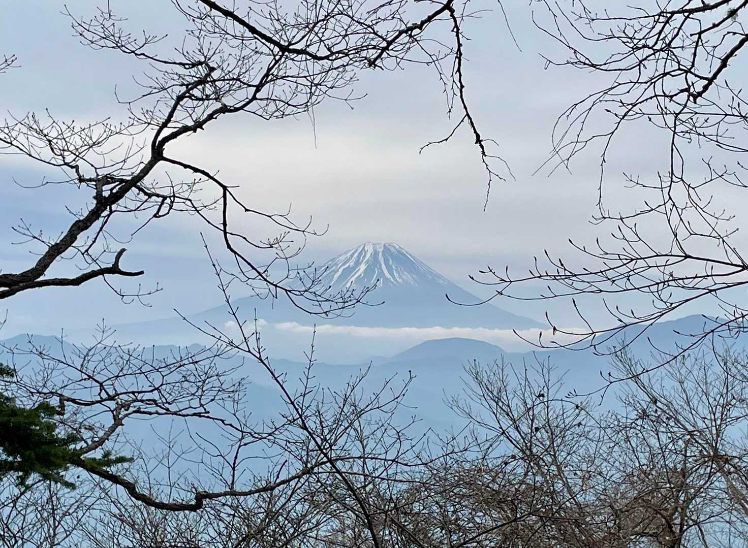 中尾根登山道からの富士山