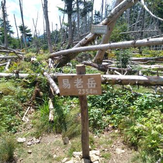 易老岳！
これで登りはおしまい😊
