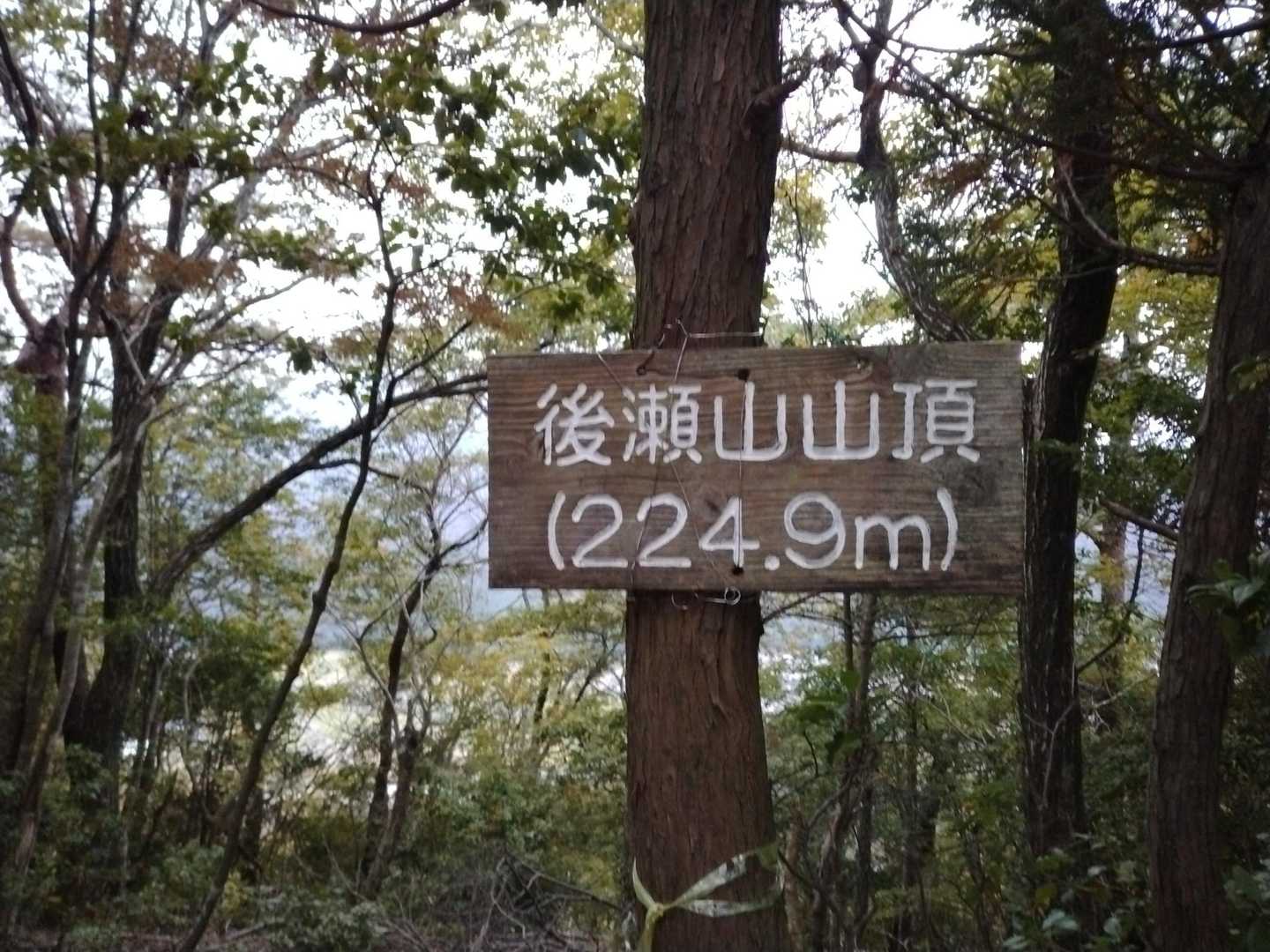 山頂