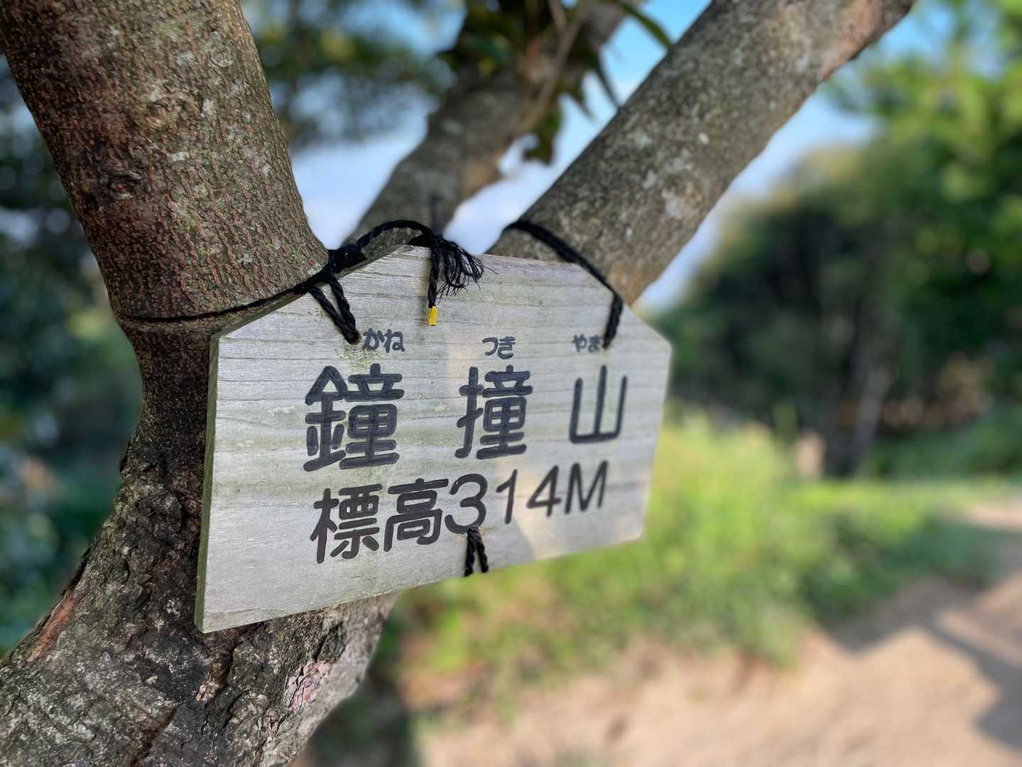 鐘撞山✨