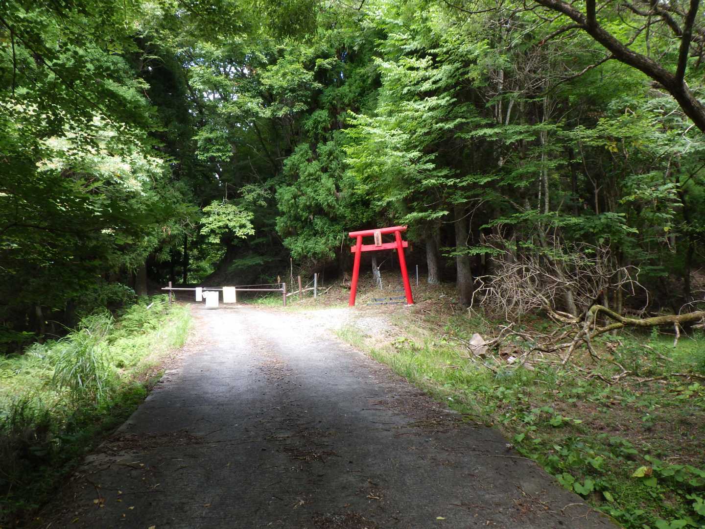 ゲート前に止めてスタート