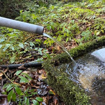 枯れてましたがちょうど組み上げて頂いたようでそこそこの水量
ありがたし
