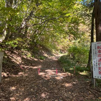 自己責任になります
大人しく歩きました🚶