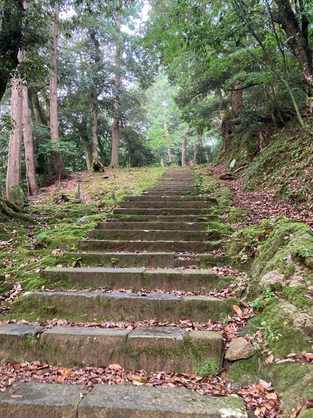 昨日の雨で滑りやすくなってます
