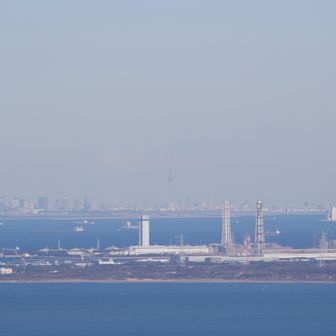 スカイツリーが見えました。