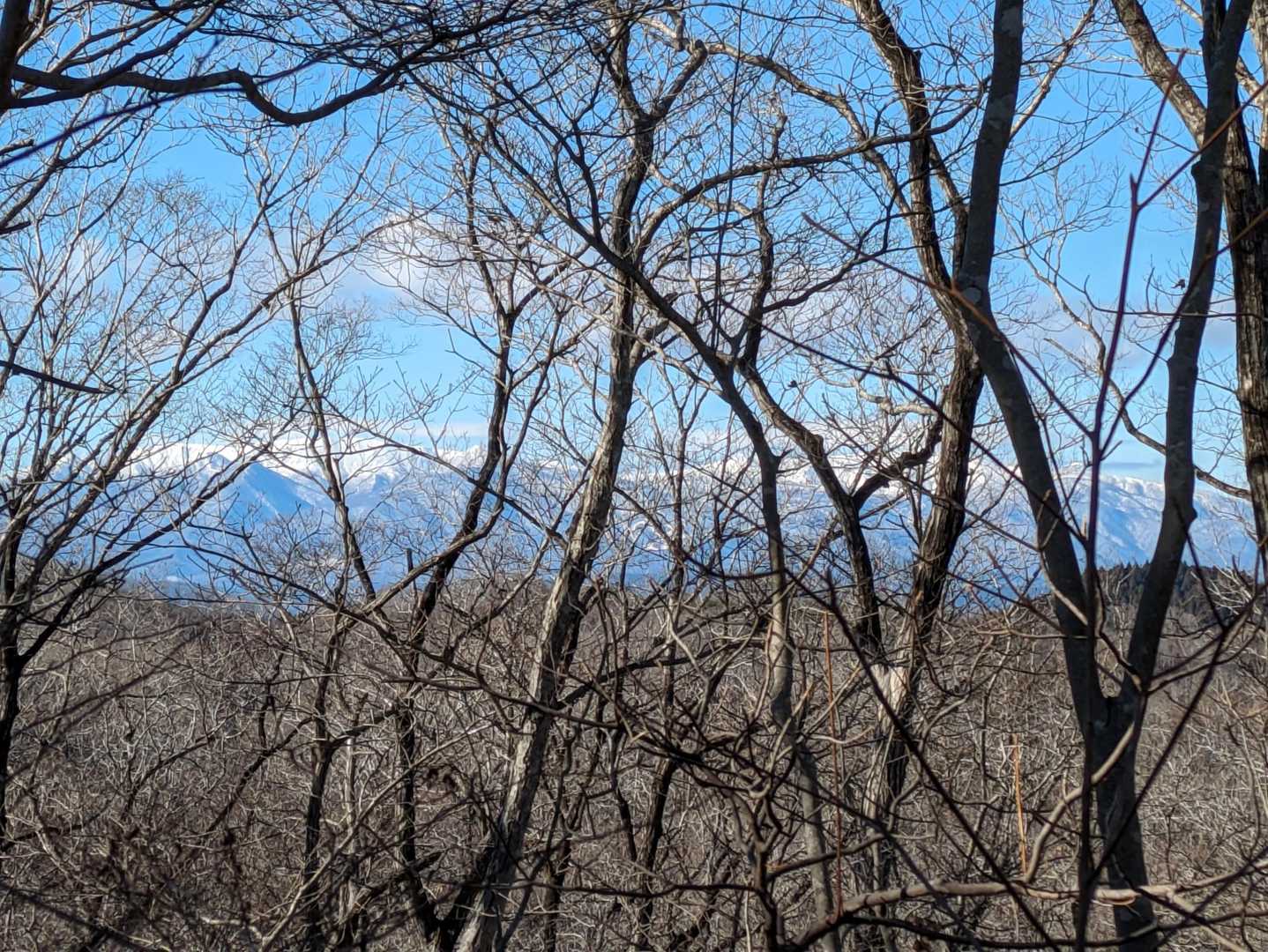 蔵王連峰🏔が美しい✨