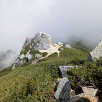 これが駒石か。駒峰ヒュッテからの下山途中、色々な巨石🪨あり。
この駒石が一番デカい。