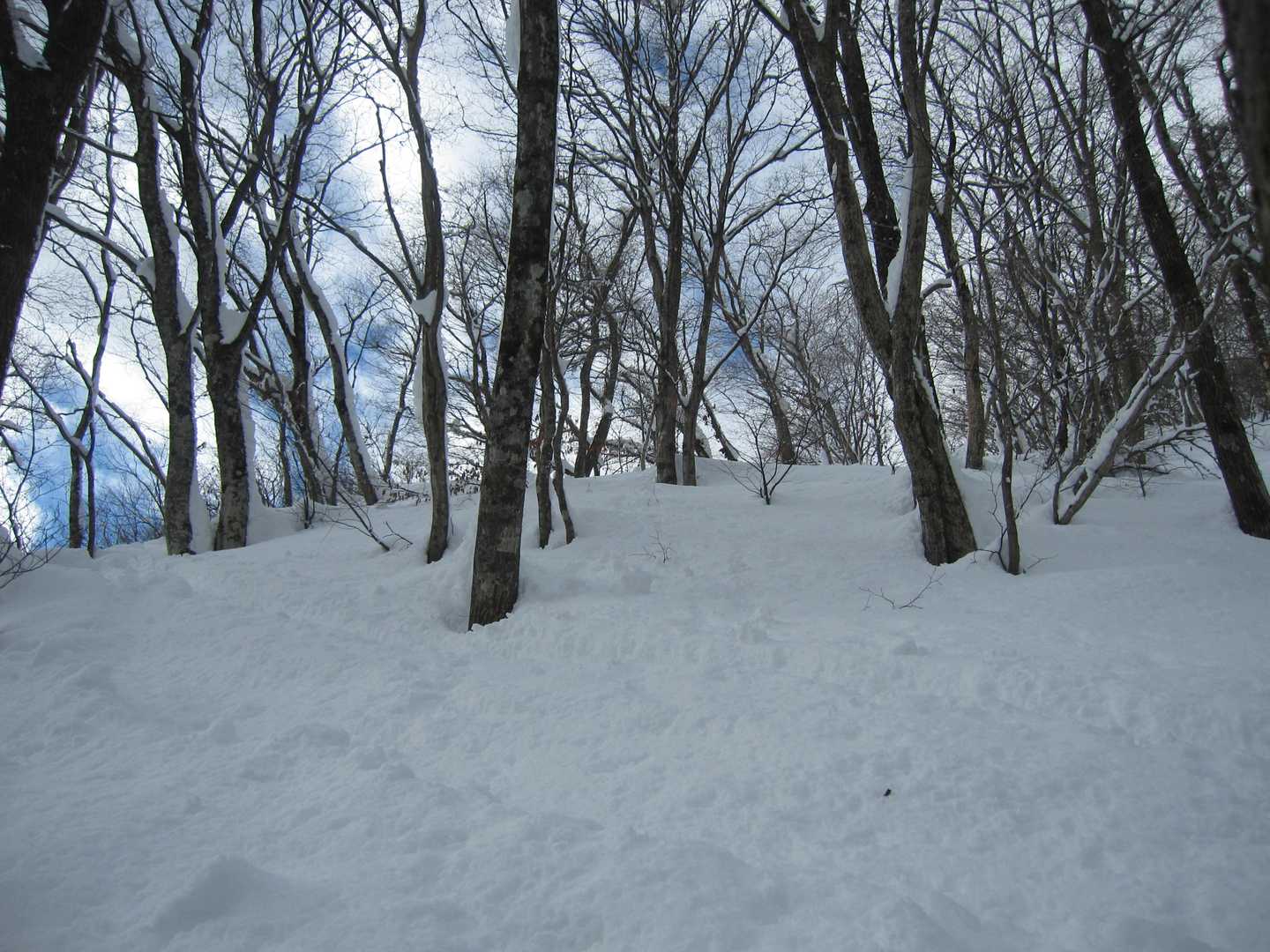 相変わらず登ってるなー