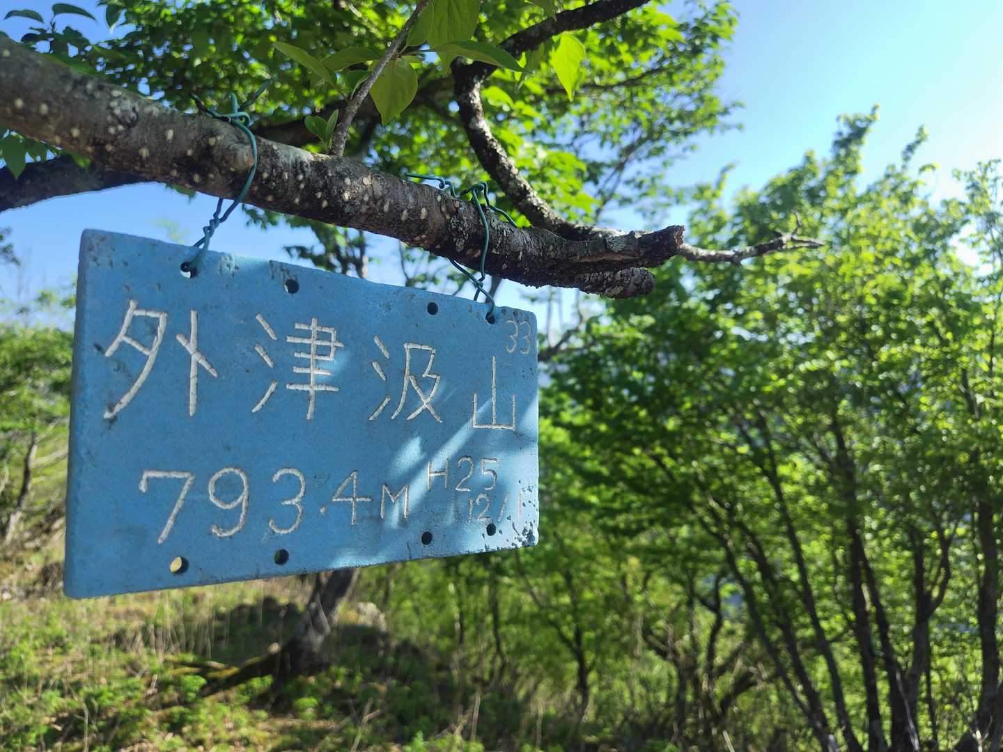 「西津汲」は三角点の名前で、山の名前は「外津汲山」っぽい🤔