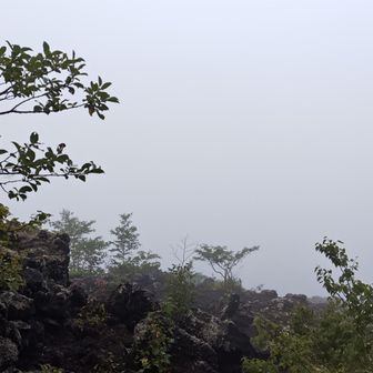 噴出口にでてみたがガース☁
そして樹林帯であまり当たらなかったが雨もパラパラ降る早朝の八幡平市☔