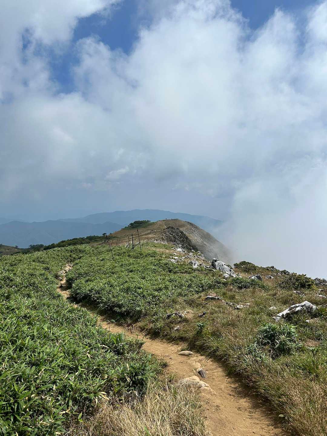 伊吹山 周回コース | 9合目から始まる、花と琵琶湖の日本百名山の写真